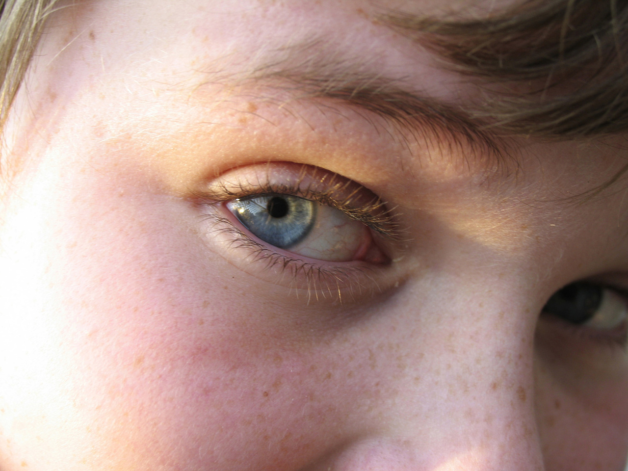 Look me in the eye 1509636 1280x960